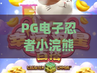 PG电子忍者小浣熊！PG电子忍者小浣熊新手必看攻略+PG电子忍者小浣熊高爆率技巧