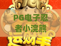 PG电子忍者小浣熊｜PG电子忍者小浣熊怎么玩胜率翻倍？｜PG电子忍者小浣熊2026全新版本福利攻略